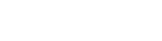 IEEE CSS State-Space Forum